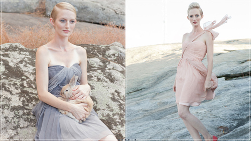 This new chapter.Ivy&Aster LookBook