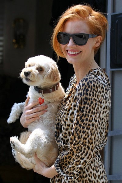 街拍那些溜狗的欧美明星造型盘点