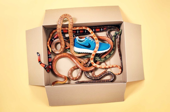 毒蛇猛兽代言球鞋？！德国摄影师Joseph Ford创意作品