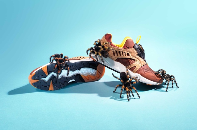 毒蛇猛兽代言球鞋？！德国摄影师Joseph Ford创意作品