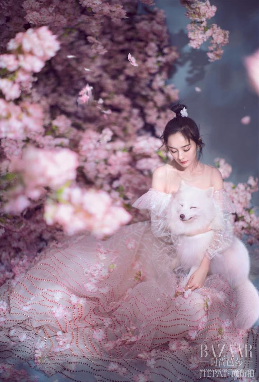 yangmi_02
