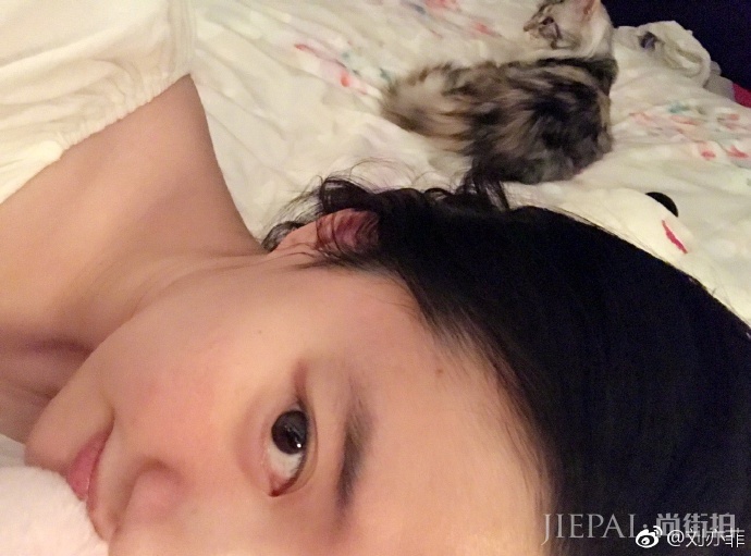 网友偶遇刘亦菲素颜吃饭,这么渣的图都挡不住她的美貌!