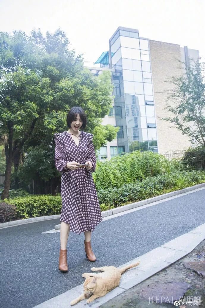 秋天这几款裙子美翻天， 高圆圆、刘雯早就穿起来了！