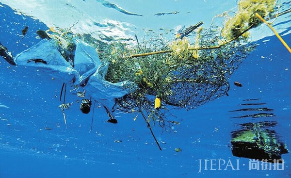 《美丽中国》9月15日开播,倡议去海边不擦防晒霜?