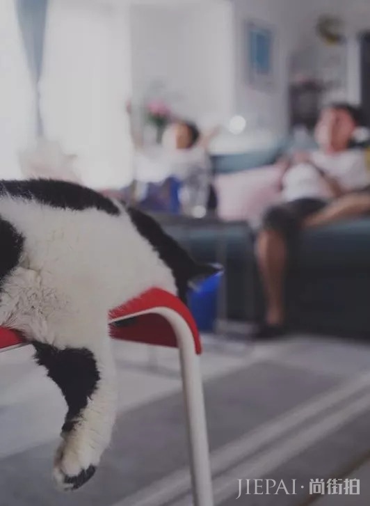 蛤?周末难道不应该宅在家做个废物?