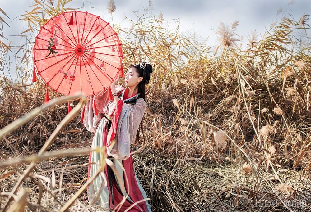 虞美人