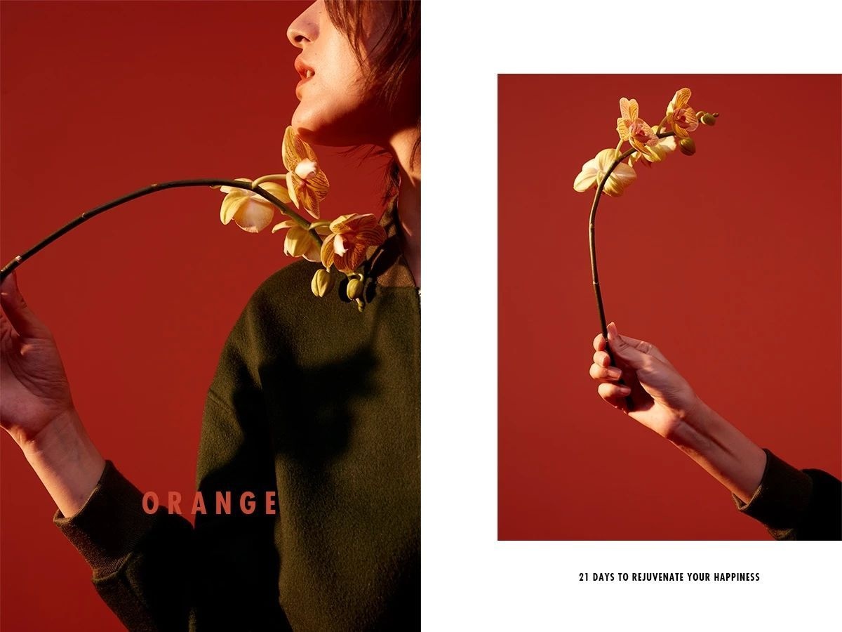 秋冬想穿得一顾倾城，怎么少得了这5件