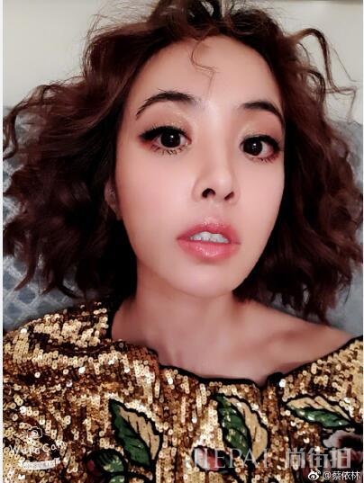 蔡依林晒自拍说要当网红,网友:厉害,竟没一张像的