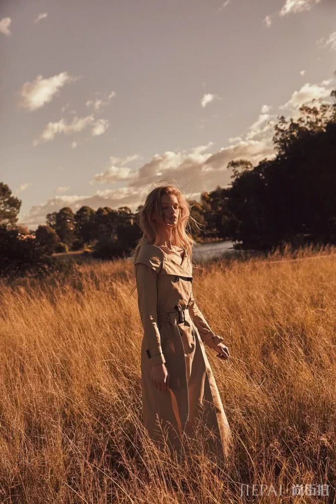 你的手机屏保也该换上“秋装”了，最美的都在这里