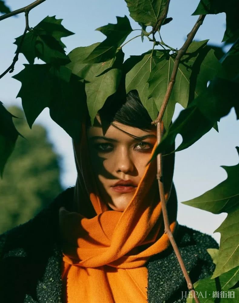 你的手机屏保也该换上“秋装”了，最美的都在这里