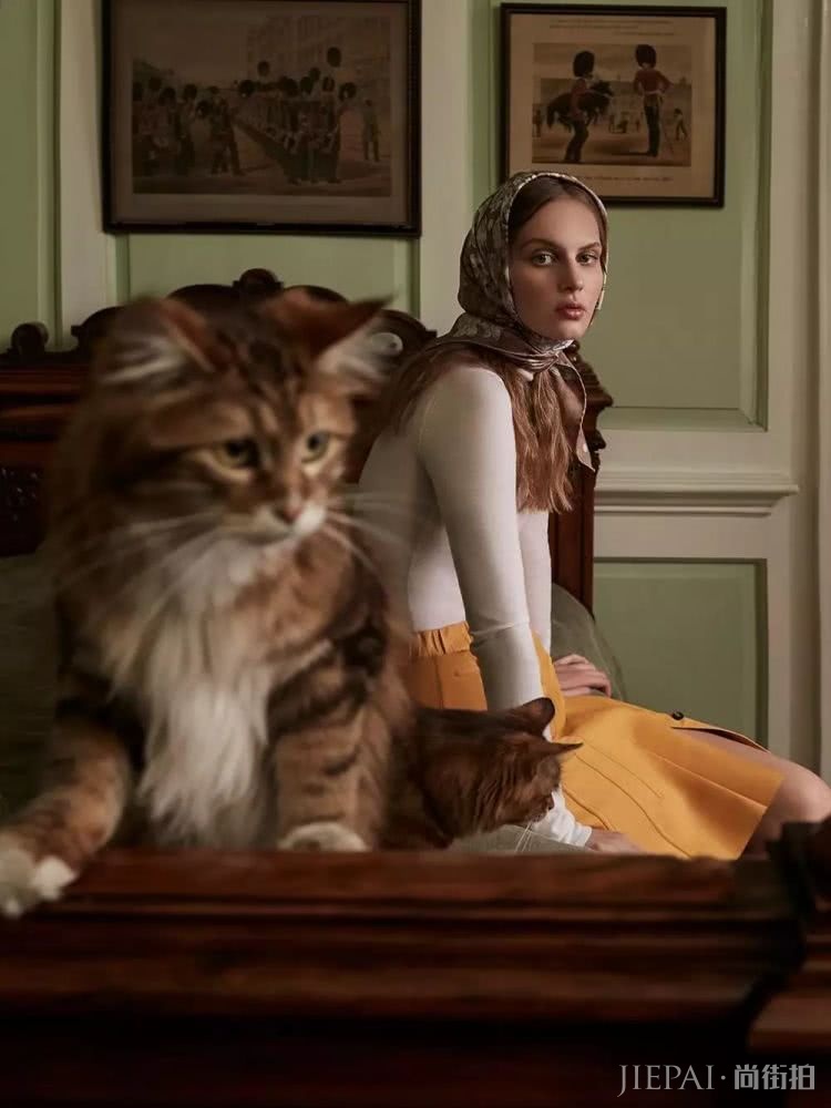 你的手机屏保也该换上“秋装”了，最美的都在这里