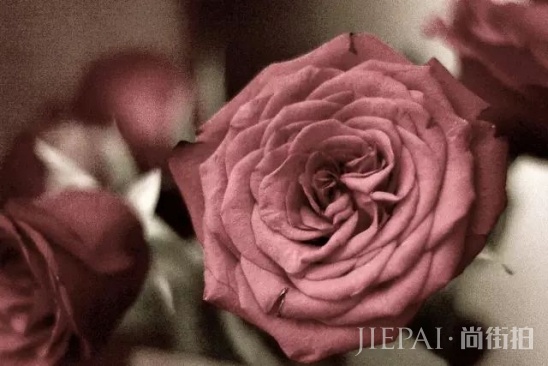 豆沙色口红推荐