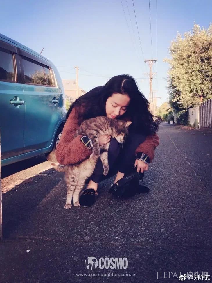 一拍照脸就变大，刘亦菲杨幂把解药给我了