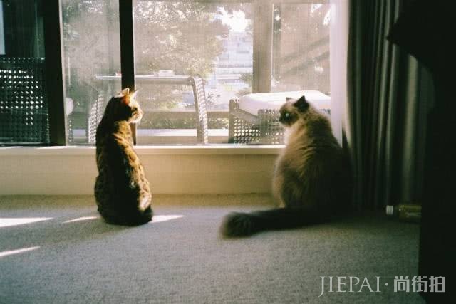 97年混血美少女，有她一半颜值我能横着走