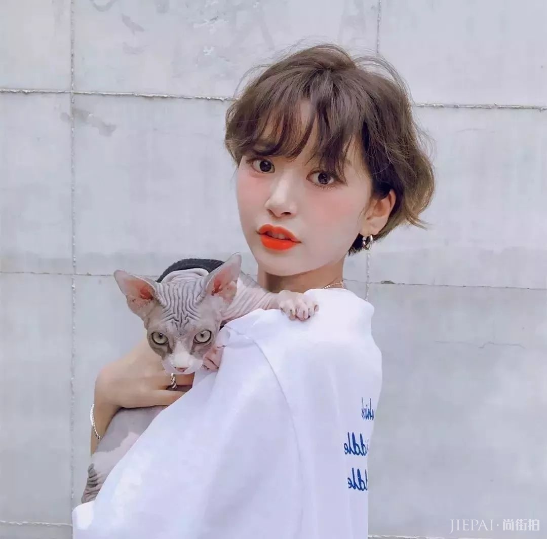 拿什么遮住你，我的发际线