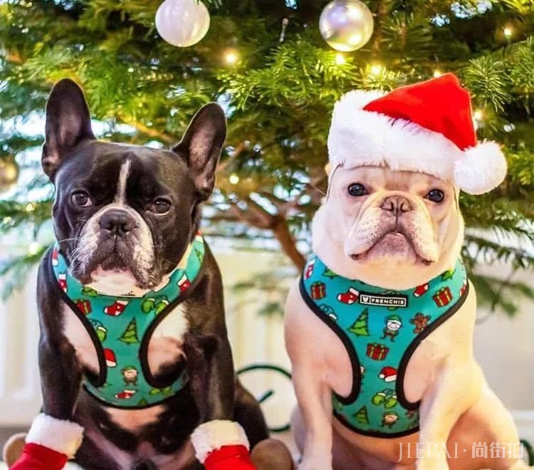 圣诞节最会打扮的网友合集!美女秀身段、沙雕扎堆