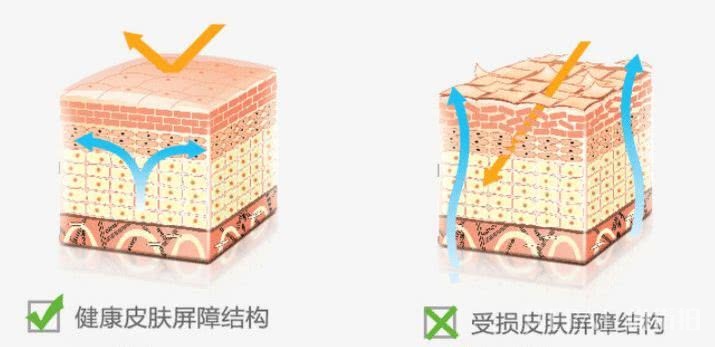 张韶涵想做“冻龄”小天后