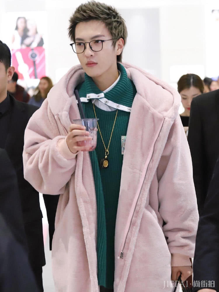 董岩磊染一头粉毛,大胆配绿色“貂”