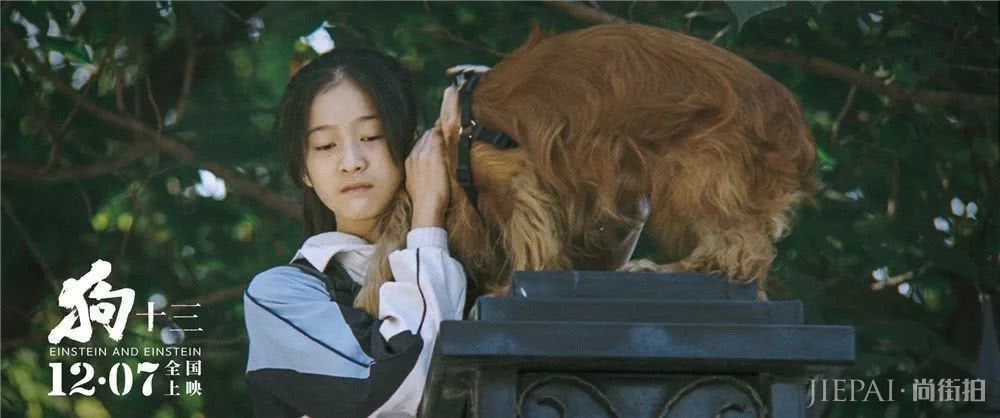 《狗十三》口碑爆棚,14岁的张雪迎太灵动了?