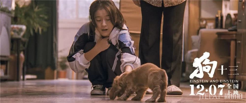 《狗十三》口碑爆棚,14岁的张雪迎太灵动了?