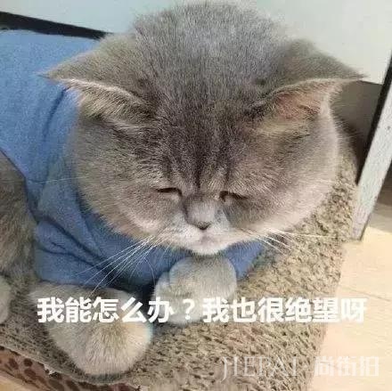 选不对发型活该你脸大喽！