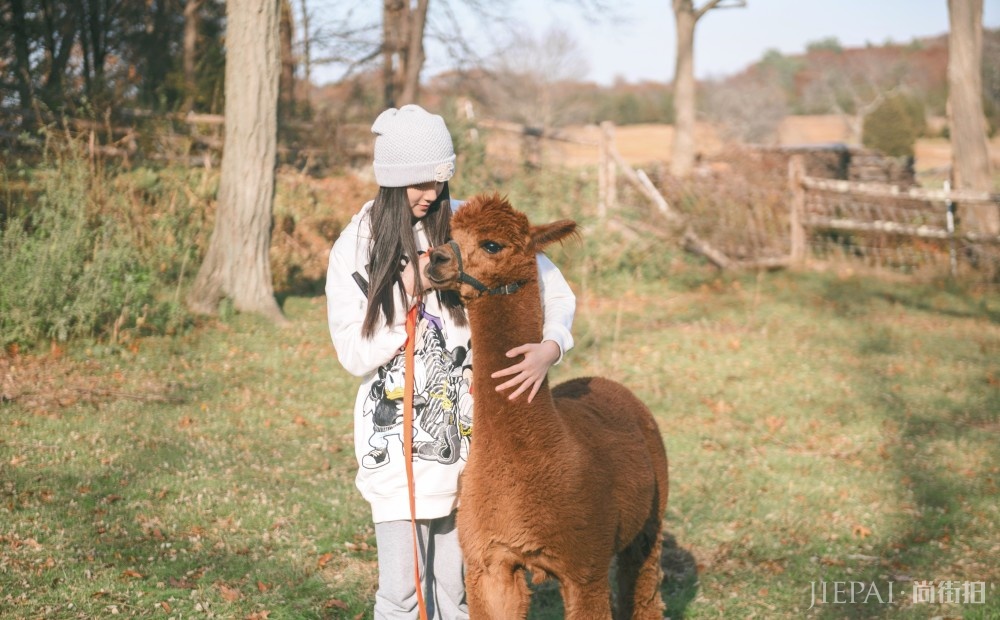欧阳娜娜白色卫衣搭配运动裤俏皮又少女