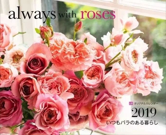 2019年第一波日本杂志包包赠品强势来袭!送到手软…