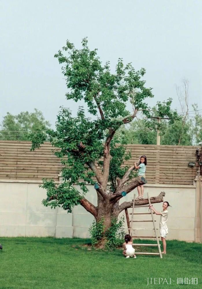 周迅也太鬼马精灵了吧,新书旧照流出,每一张都超有个性