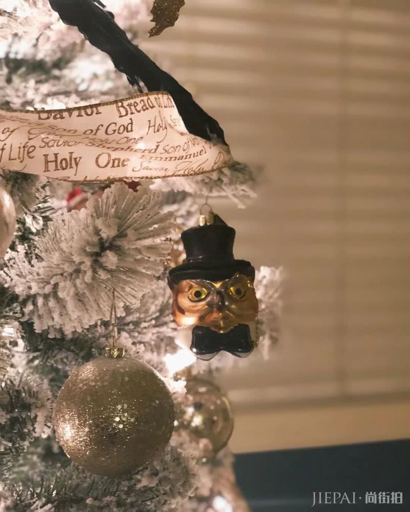 只用几块钱,就能在圣诞节时把家里打造成自拍圣地