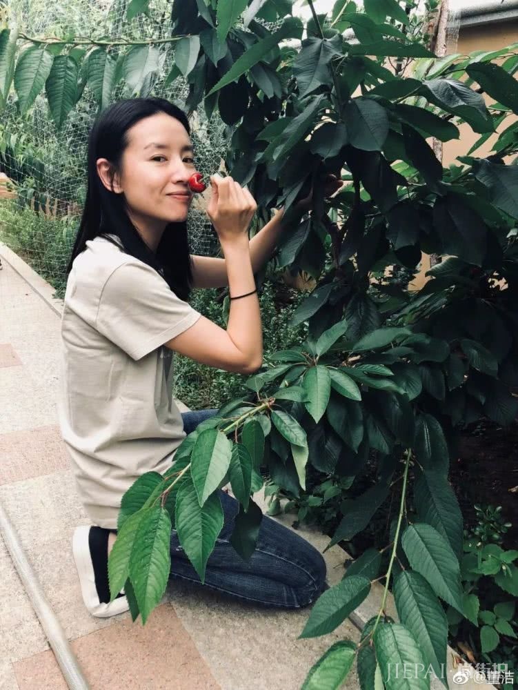 化身职场精英的董洁，靠什么秘籍保持自己不变的年轻美肌？