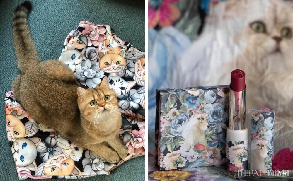 一篇看尽2019年新春限定新品彩妆，每款都美到让人无法抗拒