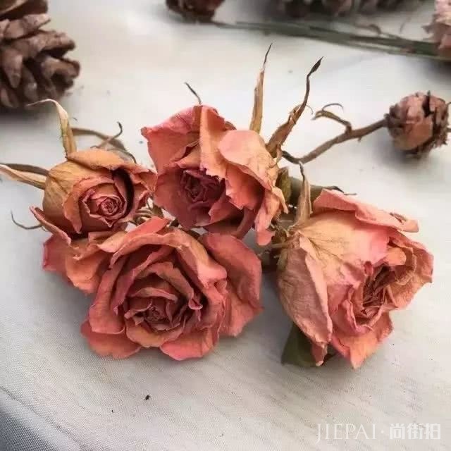 焦糖色最好看?现在“干枯玫瑰粉”才高级百搭