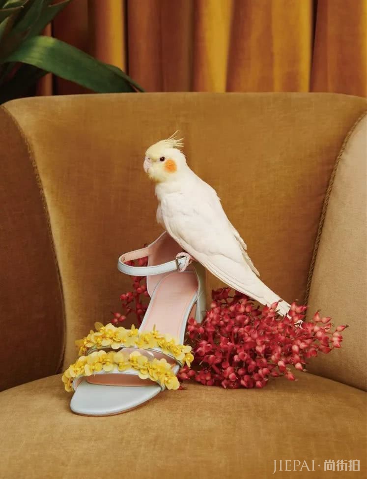 2019最火的国潮鞋哪里可以买?来这里看看吧