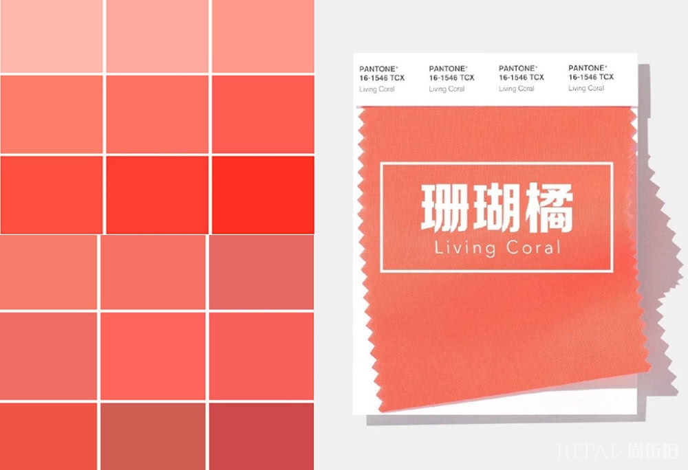 珊瑚橘是黄黑皮灾难色，太难穿？