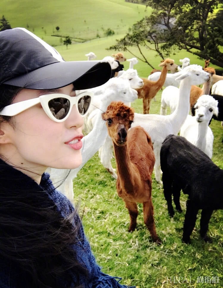 刘亦菲红色衣服搭配驼色发圈,却意外被墨镜抢镜