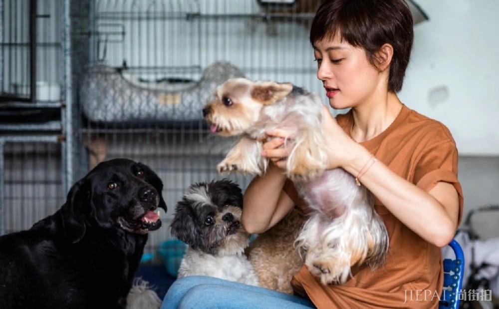 孙俪剪款“短发”变女神，终于不再是土大妈