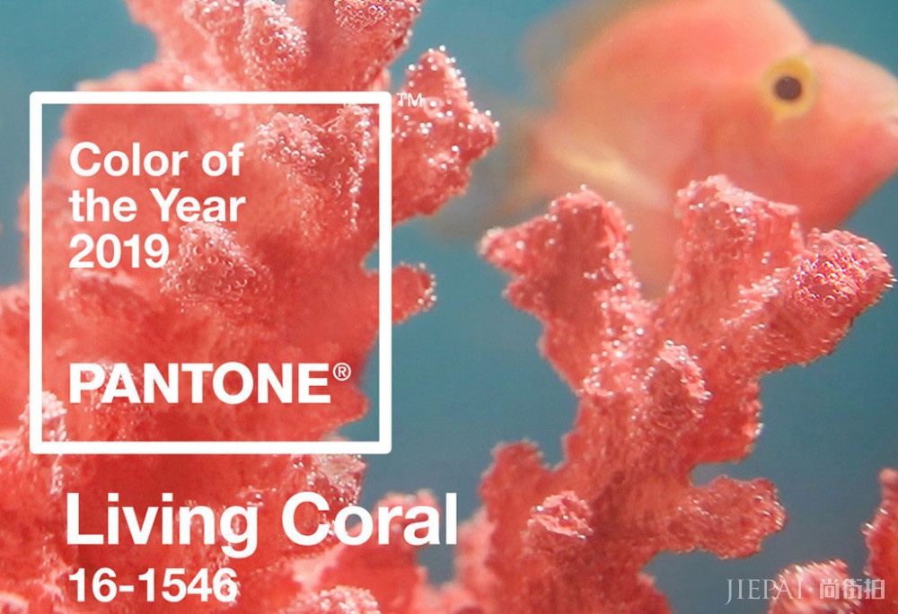 珊瑚橘是黄黑皮灾难色，太难穿？