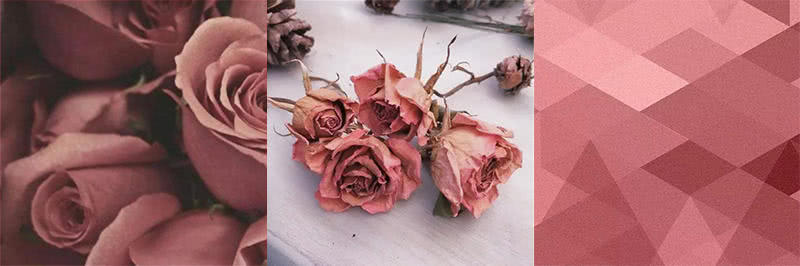 玫瑰色温柔绽放服饰，给你高级颓废感和浪漫气息