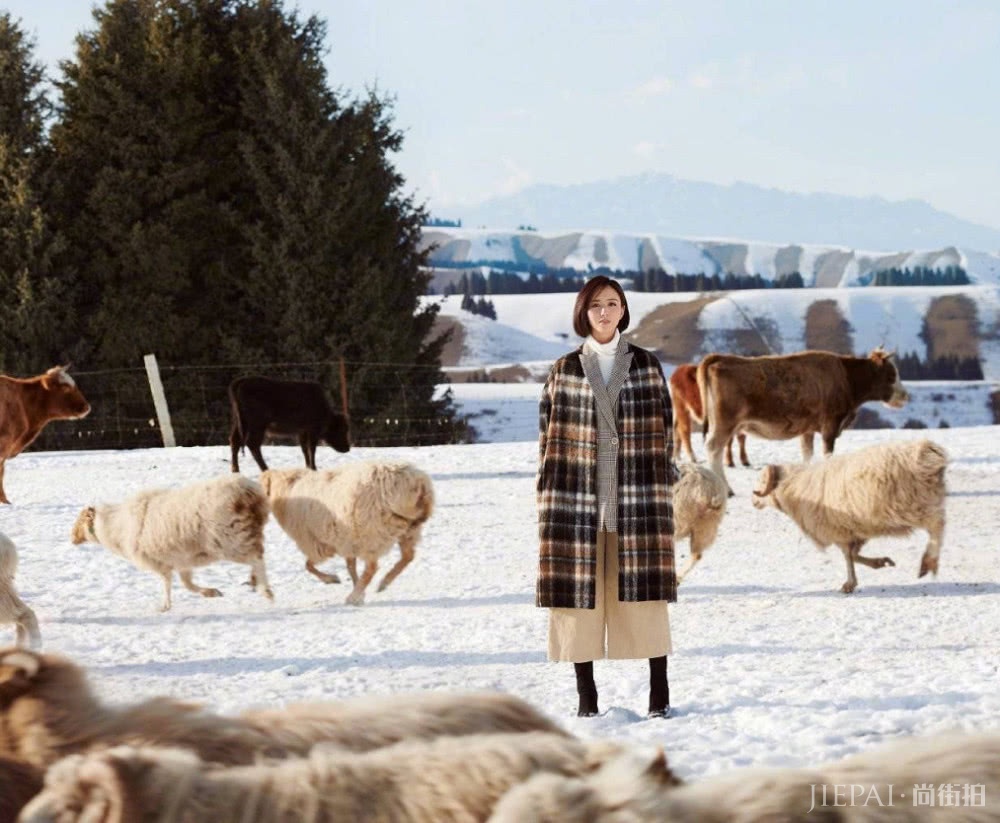 佟丽娅变黑孔雀单靠背影就让人移不开目光