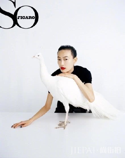 秦舒培复出登新刊封面,大背头配大红唇,谁能hold住这发型?