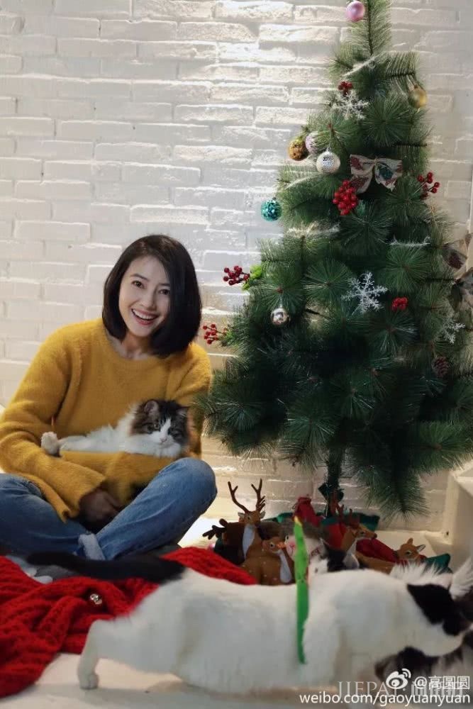 40岁高圆圆蝉联直男女神第3,她真正戳中直男审美的不是脸