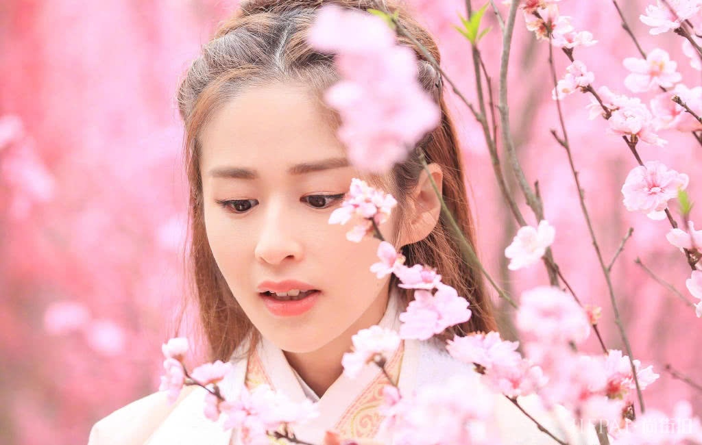 颖儿汉风造型曝光，扎小辫置身花海中，少女心太强