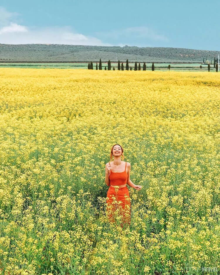 春游穿什么?这3个颜色拍照巨好看!