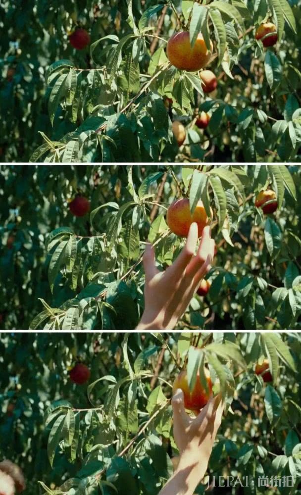 超时髦的夏日色彩搭配，章子怡蔡依林也在穿