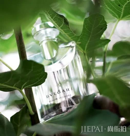 让男朋友把持不住的香水,原来闻起来是这样