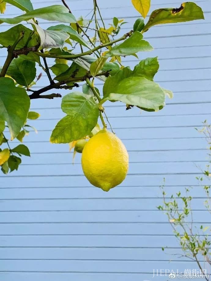 10个美容谎言大反击