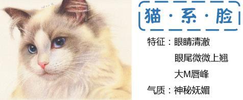 现在流行的动物脸型你了解吗?猫系脸、犬系脸你喜欢哪一个
