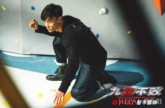 7月观影指南：内地电影大洗牌？《扫毒2》一枝独秀，狮子王救市