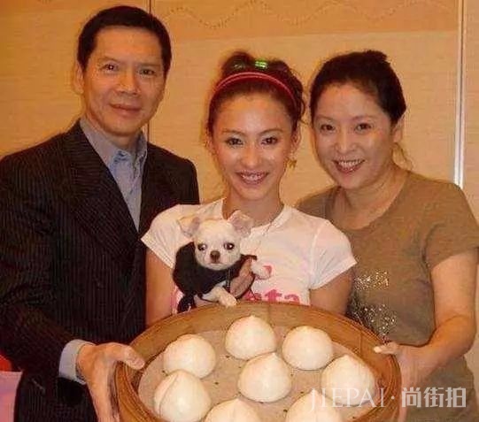 向太暗讽张柏芝说谎成瘾，却被网友吐槽：心胸狭隘格局太小！