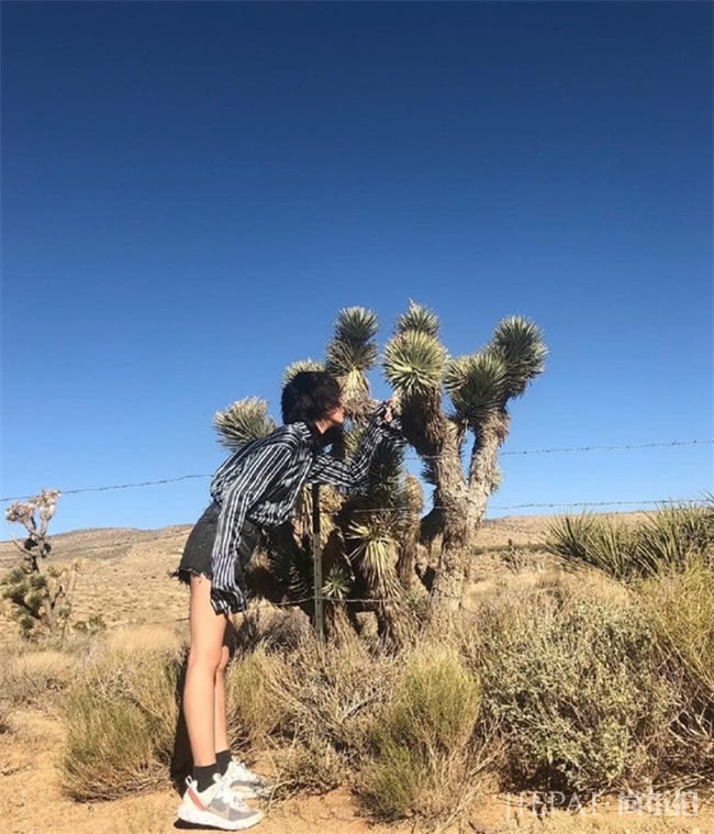 女人味十足的真丝衬衫,戚薇和李宣美穿同款,你pick谁?